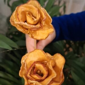 Fleurs Séchées Décoratif